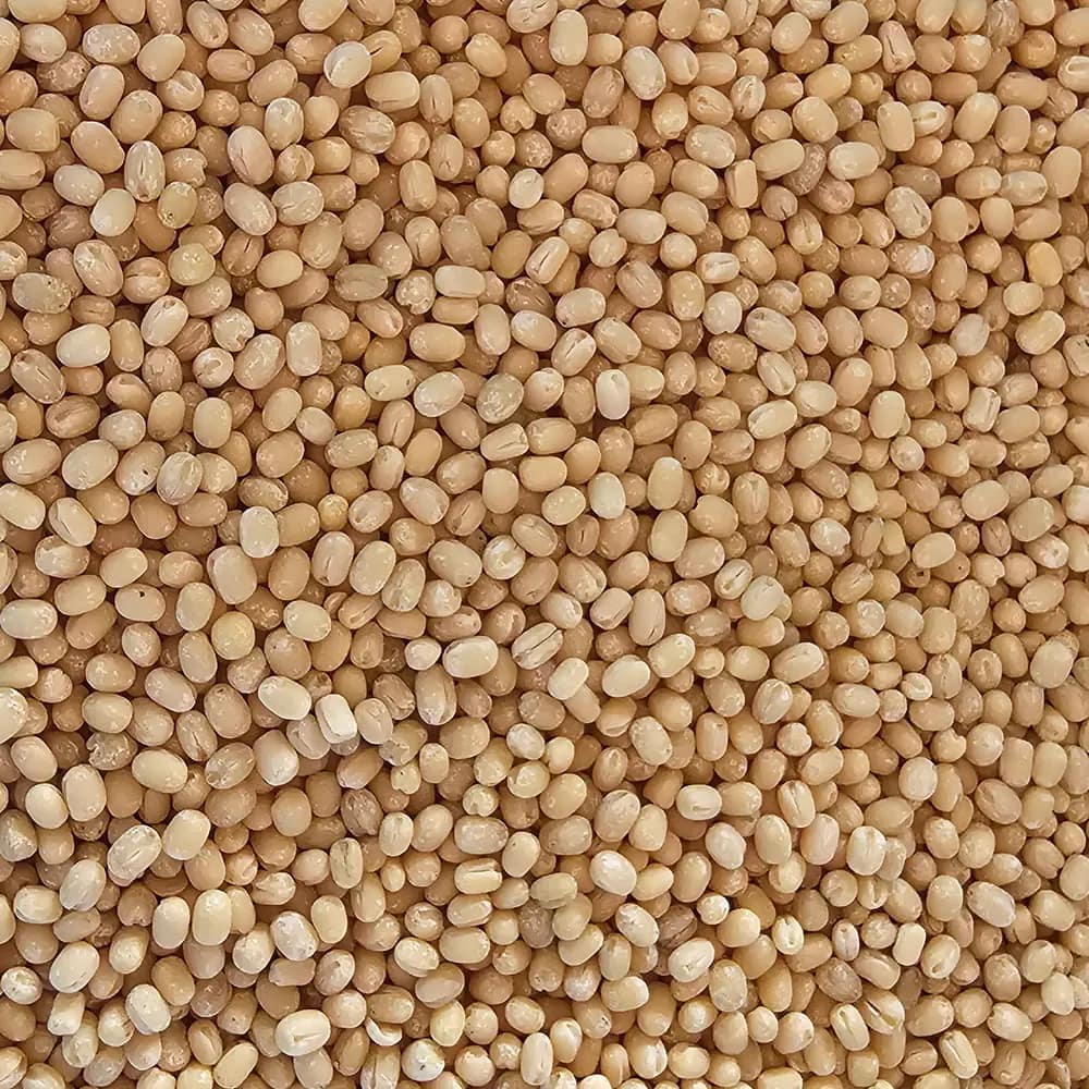 Macro close-up of whole dehusked white urad dal